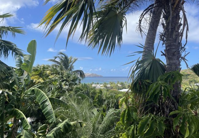 Apartamento en Saint Barthélemy - Mana piso en venta en San Bartolomé Apartamento en Saint Barthélemy - Mana piso en venta en San Bartolomé