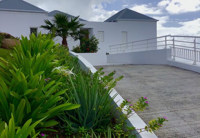 L'accès à la maison est bordé par un jardin tropical. L'accès à la maison Acropolis sur l'île de Saint Barthelemy peut se faire sans escalier.
