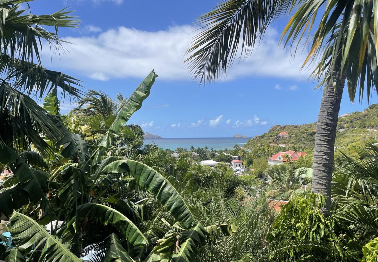 Appartement à Saint Barthélemy - Appartement Mana a vendre a Saint Barrthelemy Appartement à Saint Barthélemy - Appartement Mana a vendre a Saint Barrthelemy