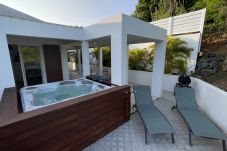 El jacuzzi y las tumbonas para unas vacaciones de ensueño en la villa Acropolis en San Bartolomé.