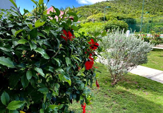 Villa a Saint Barthélemy - Cap Frehel les pieds dans l'eau à St Jean sur l'île de St Barth Villa a Saint Barthélemy - Cap Frehel les pieds dans l'eau à St Jean sur l'île de St Barth