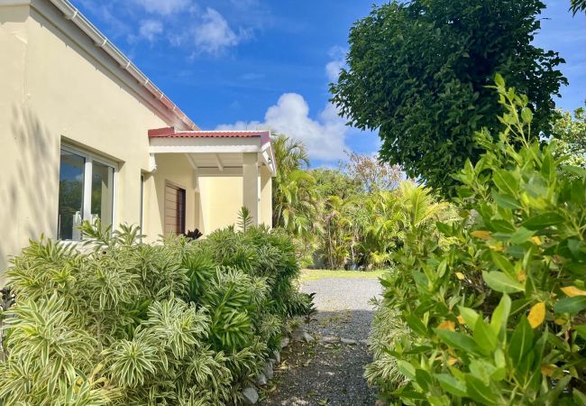 Villa a Saint Barthélemy - Allyre loue la belle VILLA DASHA à Saint Barthelemy Villa a Saint Barthélemy - Allyre loue la belle VILLA DASHA à Saint Barthelemy