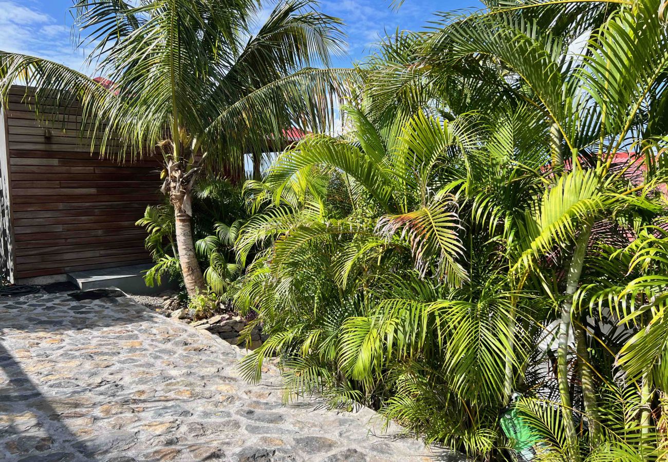 Studio a Saint Barthélemy - The Nest joli studio à Lurin sur l'île de Saint Barthelemy. Studio a Saint Barthélemy - The Nest joli studio à Lurin sur l'île de Saint Barthelemy.