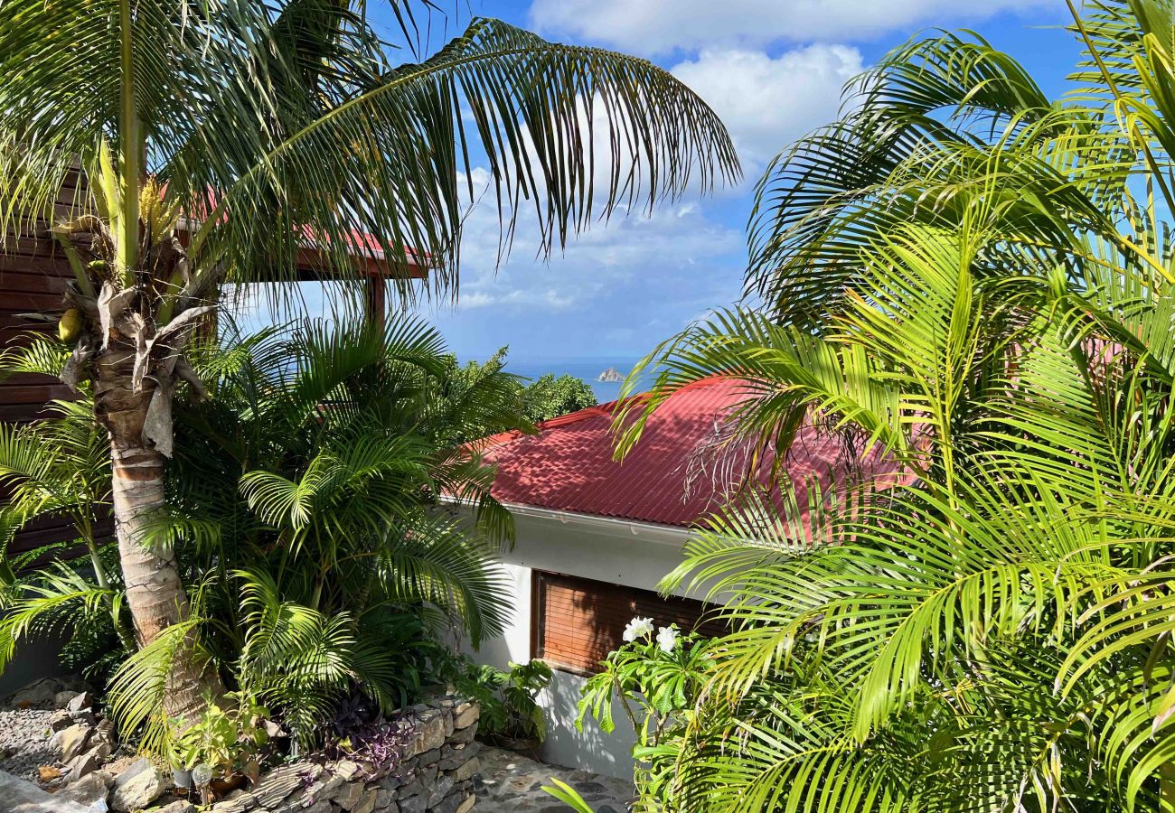 Studio a Saint Barthélemy - The Nest joli studio à Lurin sur l'île de Saint Barthelemy. Studio a Saint Barthélemy - The Nest joli studio à Lurin sur l'île de Saint Barthelemy.