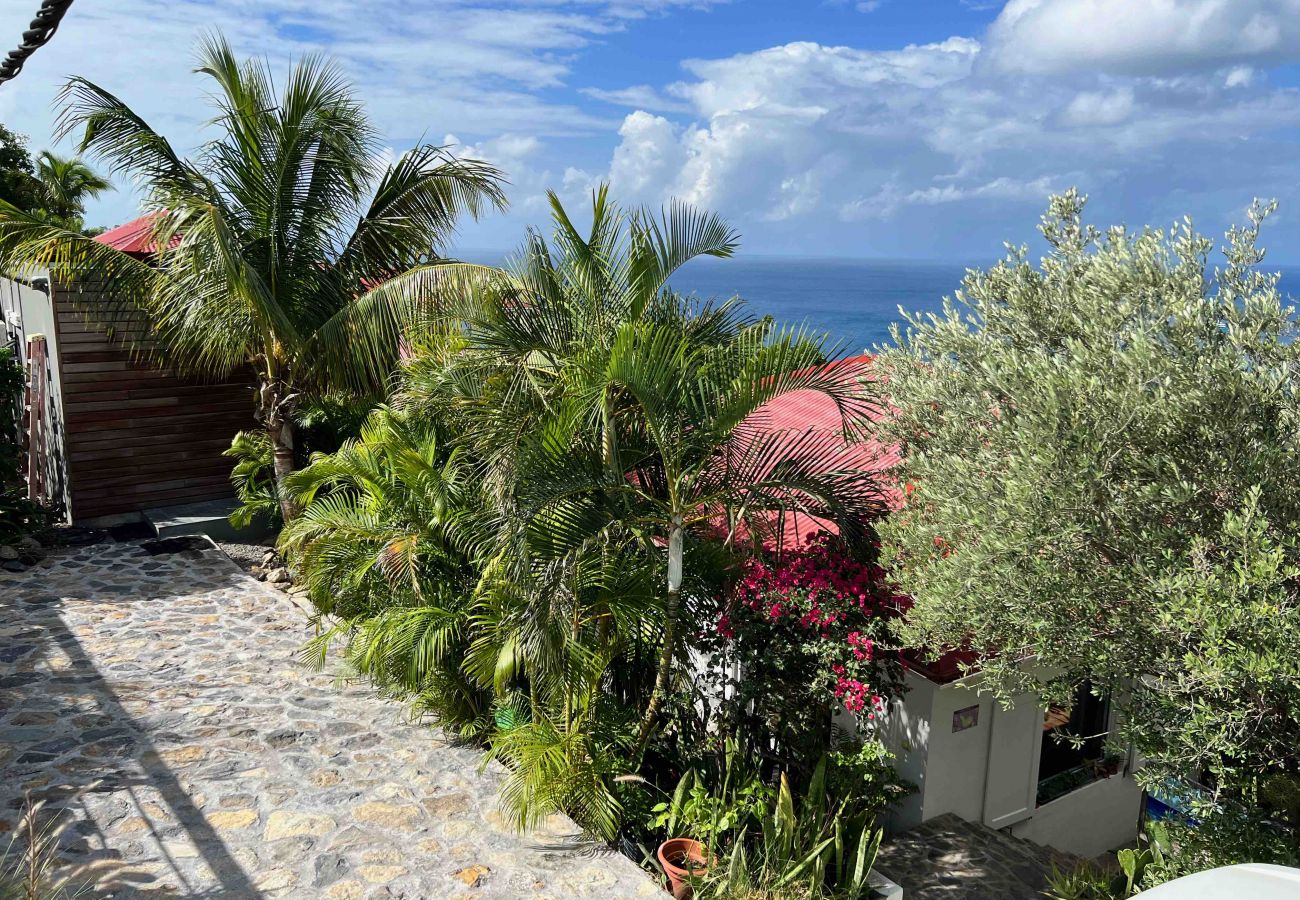 Studio a Saint Barthélemy - The Nest joli studio à Lurin sur l'île de Saint Barthelemy. Studio a Saint Barthélemy - The Nest joli studio à Lurin sur l'île de Saint Barthelemy.