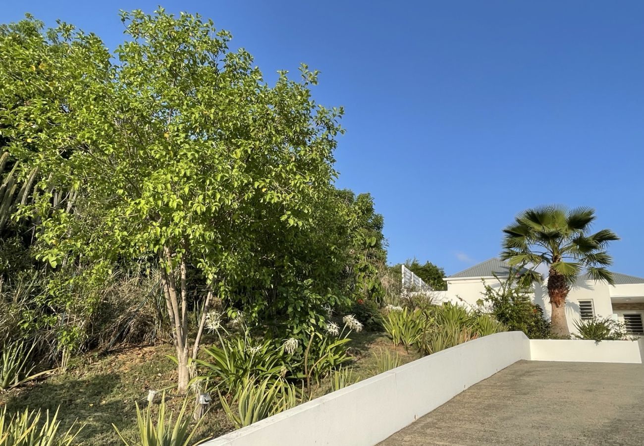 Villa in Saint Barthélemy - For Rent Contemporary Villa in Colombier ST BARTH Villa in Saint Barthélemy - For Rent Contemporary Villa in Colombier ST BARTH