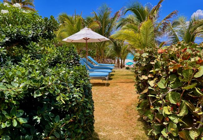 Villa in Saint Barthélemy - Villa CELINA St Barth Villa in Saint Barthélemy - Villa CELINA St Barth