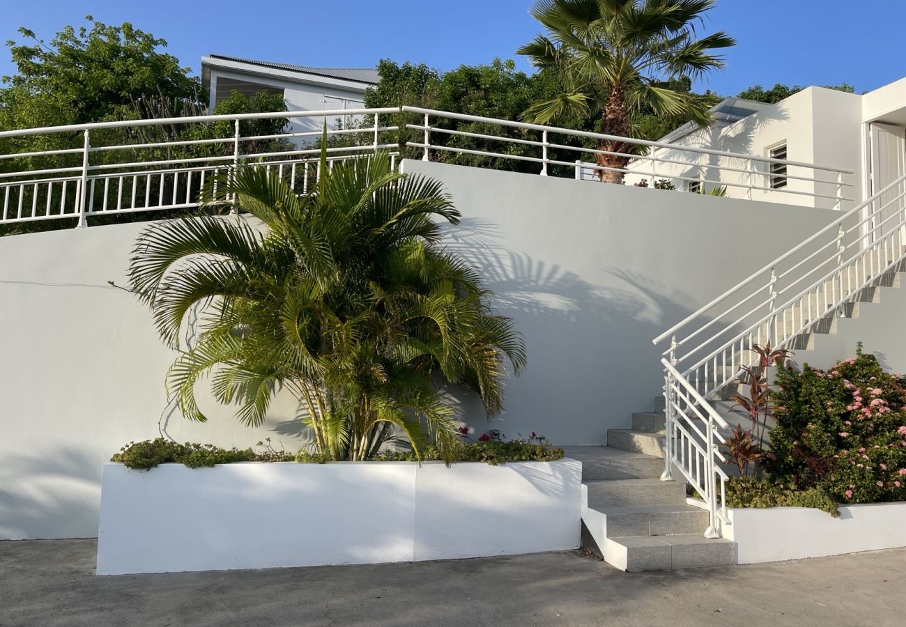 Villa in Saint Barthélemy - For Rent Contemporary Villa in Colombier ST BARTH Villa in Saint Barthélemy - For Rent Contemporary Villa in Colombier ST BARTH