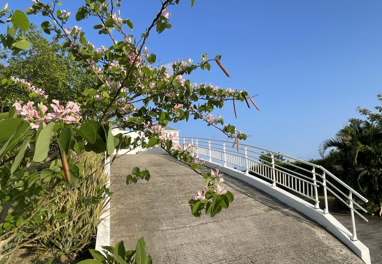 Villa in Saint Barthélemy - For Rent Contemporary Villa in Colombier ST BARTH Villa in Saint Barthélemy - For Rent Contemporary Villa in Colombier ST BARTH