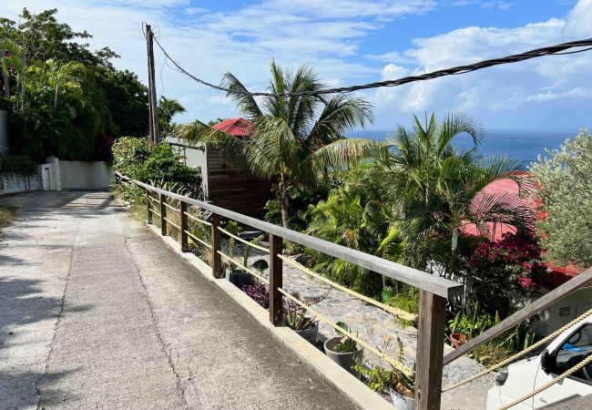 Studio in Saint Barthélemy - The Nest nice studio at Lurin on Saint Barthélemy Island Studio in Saint Barthélemy - The Nest nice studio at Lurin on Saint Barthélemy Island